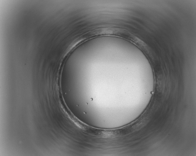 X0000063460794200602031832