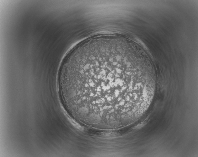 X0000063460795200602031832