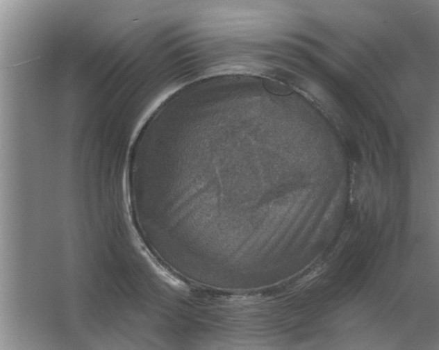 X0000063460796200602031832