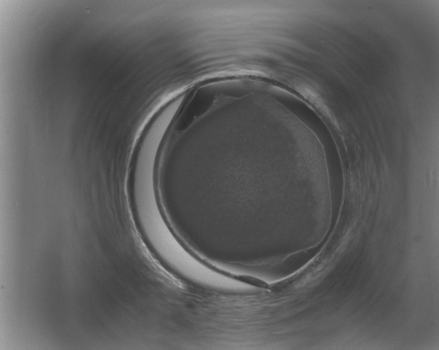 X0000063460797200602031832