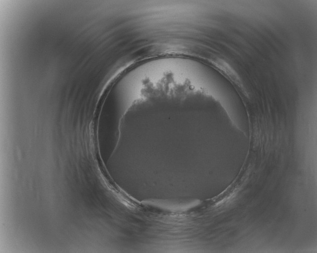 X0000063460798200602031832