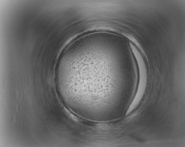 X0000063460799200602031832