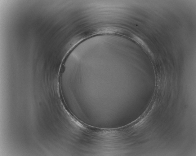 X0000063460802200602031832