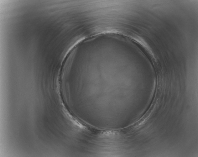 X0000063460806200602031832