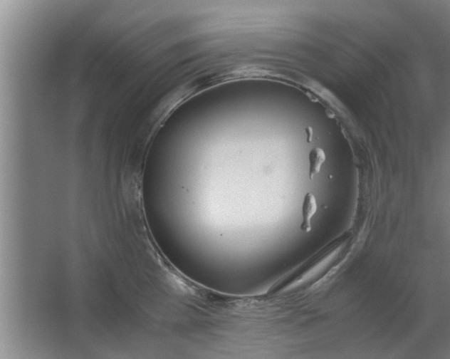 X0000063460809200602031832