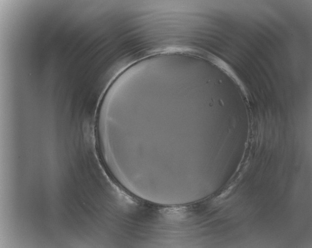 X0000063460810200602031832