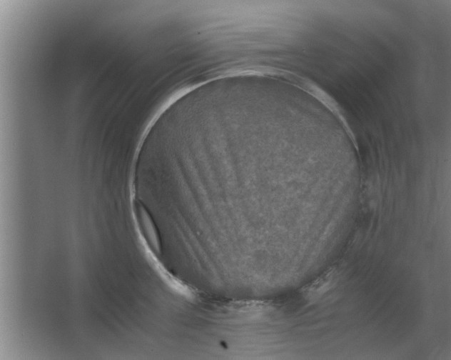 X0000063460811200602031832