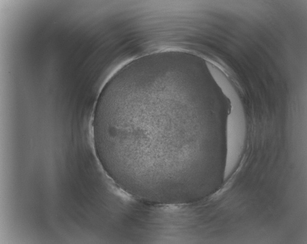 X0000063460814200602031832