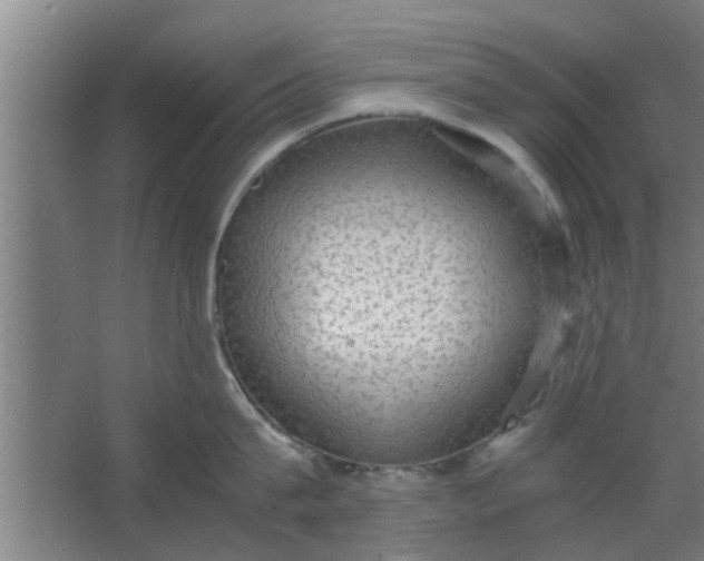 X0000063460815200602031832