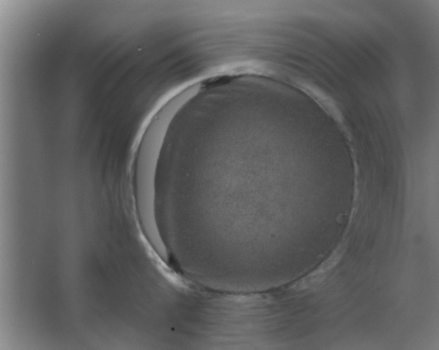 X0000063460816200602031832