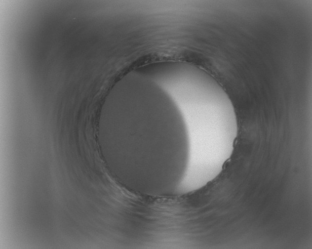 X0000063460817200602031831