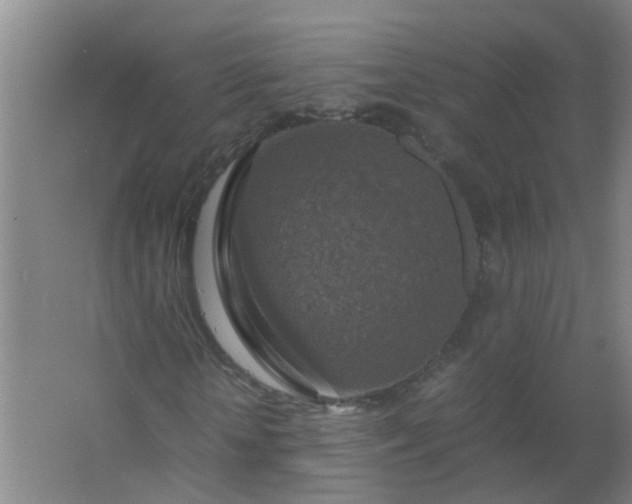 X0000063460818200602031831