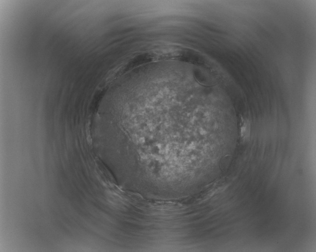 X0000063460819200602031831