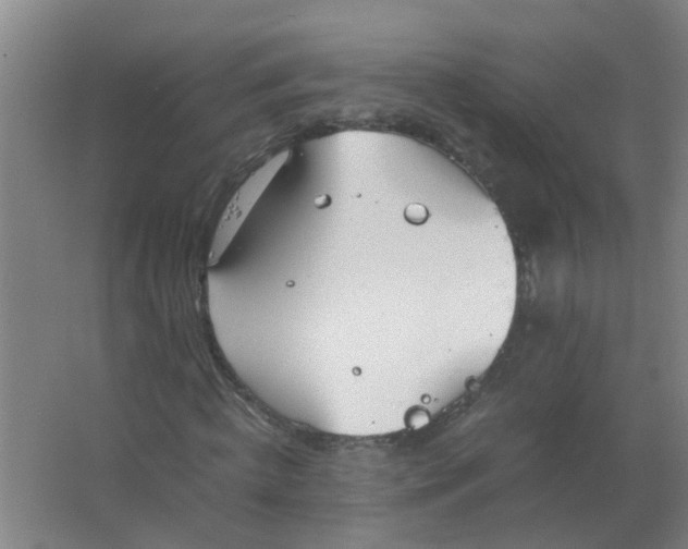 X0000063460820200602031831