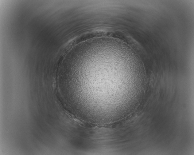 X0000063460821200602031831