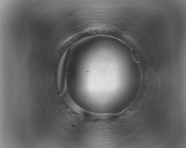 X0000063460822200602031831