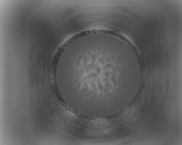 X0000063460823200602031831