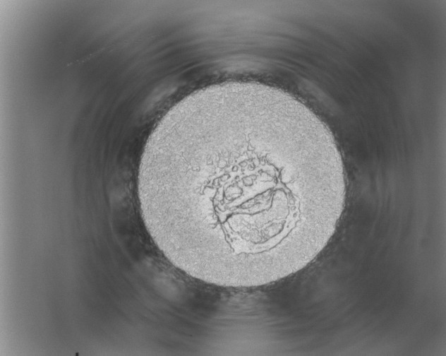 X0000063460824200602031831