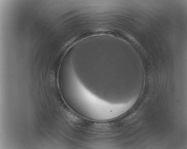 X0000063460825200602031831