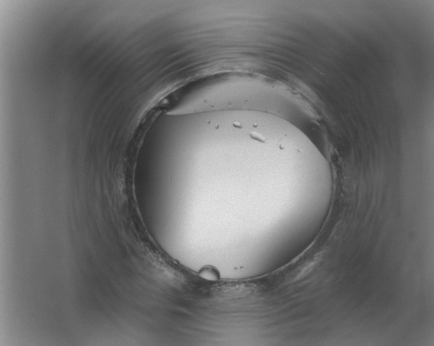 X0000063460826200602031831