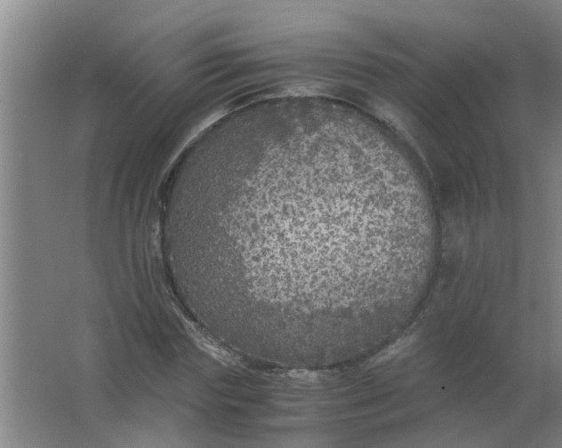 X0000063460827200602031831