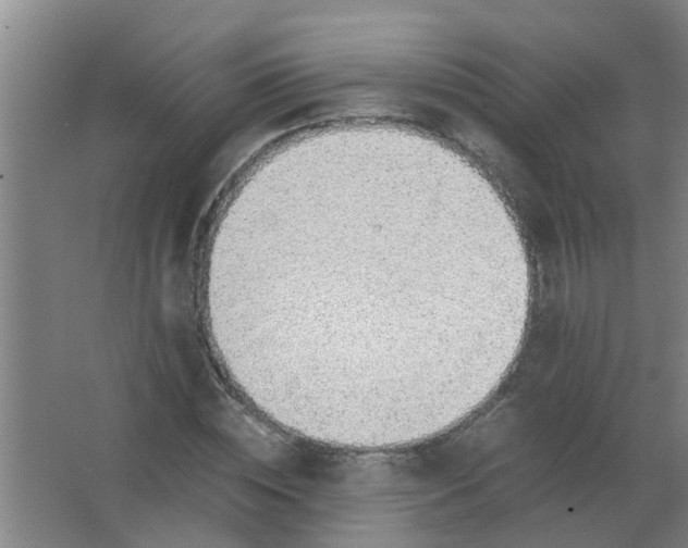 X0000063460828200602031831