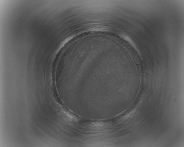 X0000063460829200602031831