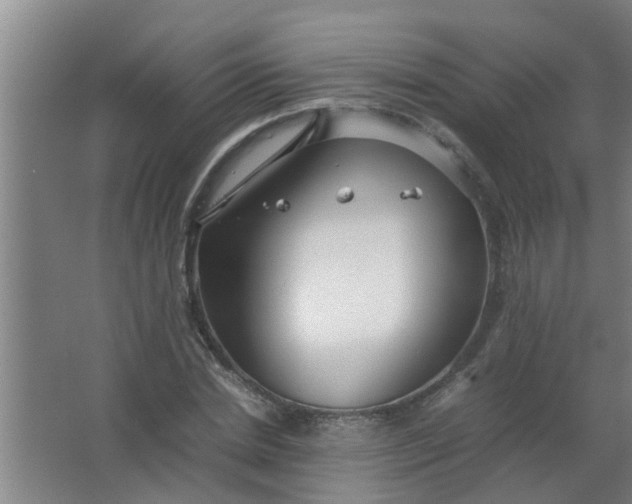 X0000063460830200602031831