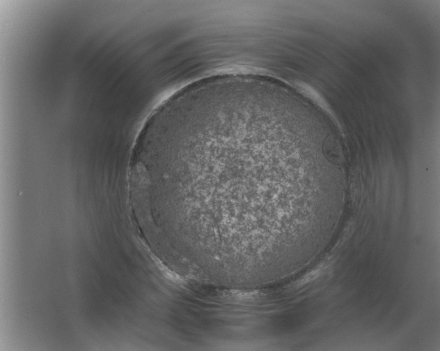 X0000063460831200602031831