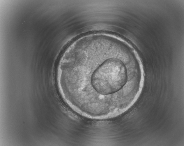 X0000063460832200602031831