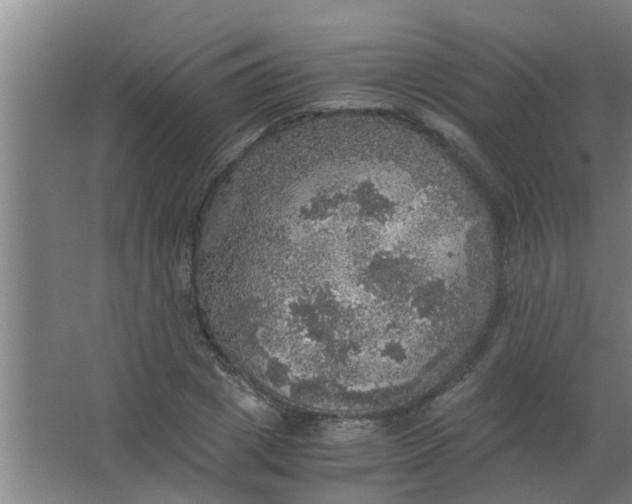 X0000063460833200602031831