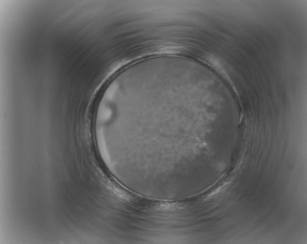 X0000063460835200602031831