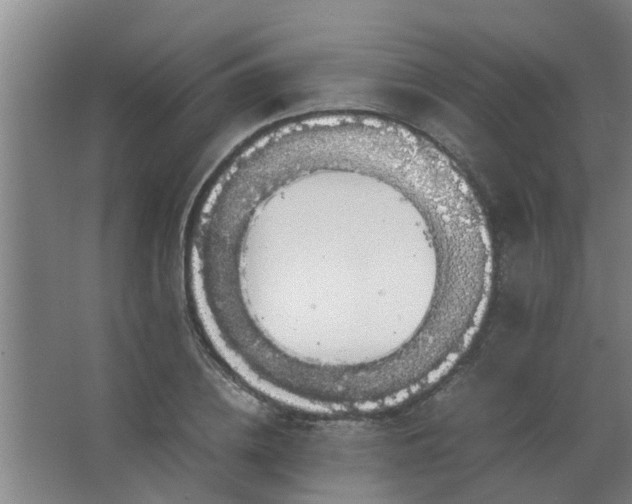 X0000063460836200602031831