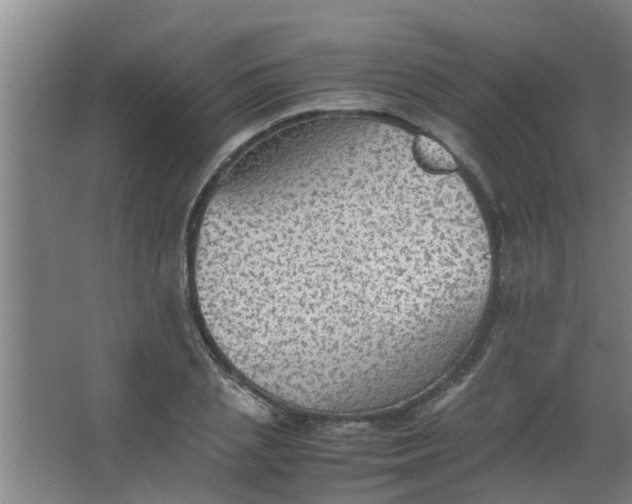 X0000063460837200602031832