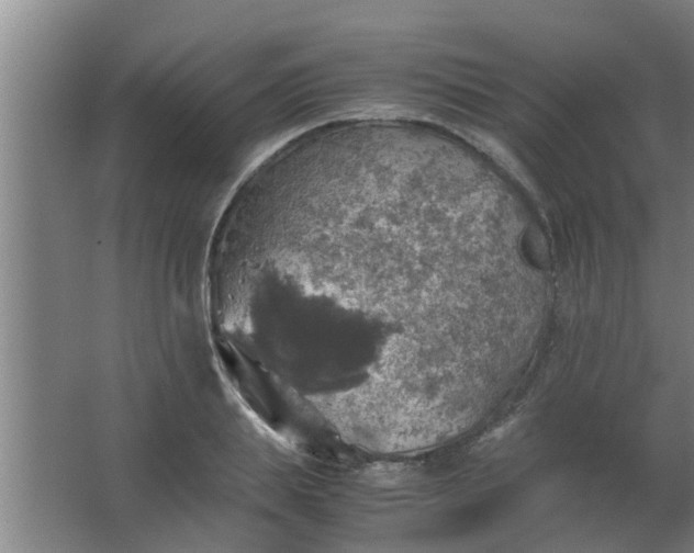 X0000063460839200602031832