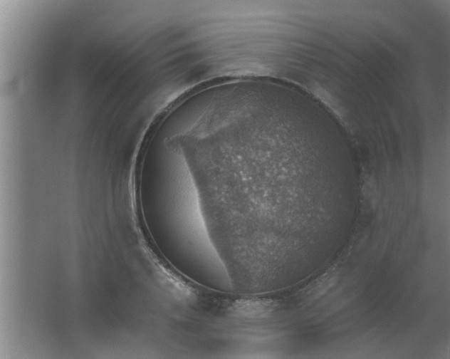 X0000063460840200602031832