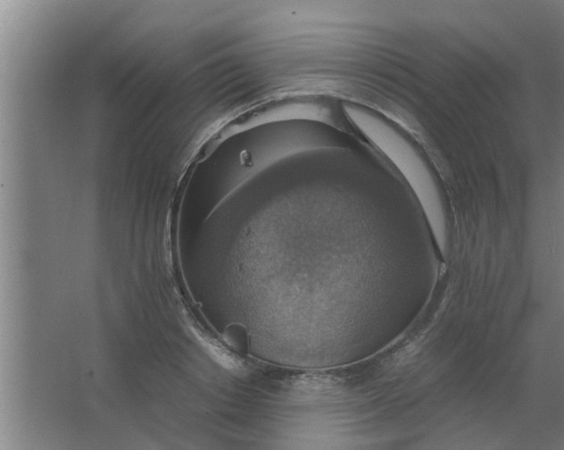 X0000063460842200602031832