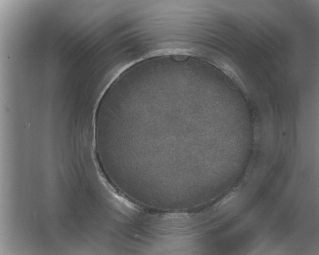 X0000063460844200602031832