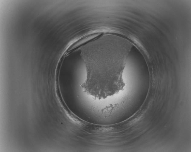 X0000063460845200602031832