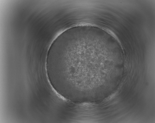 X0000063460847200602031832