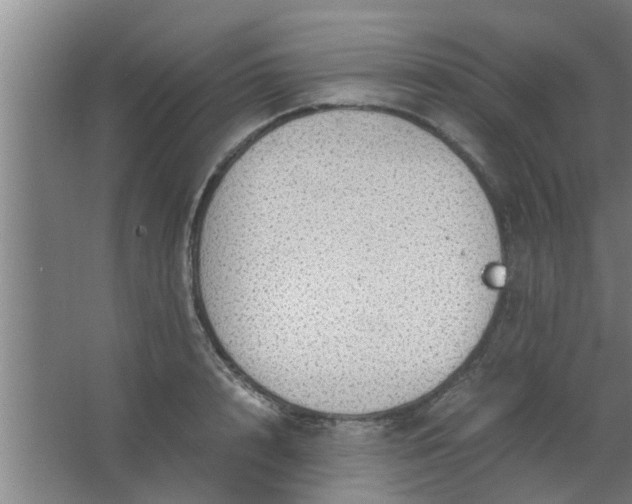 X0000063460848200602031832