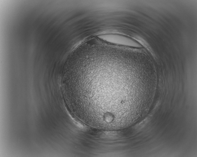 X0000063460849200602031832