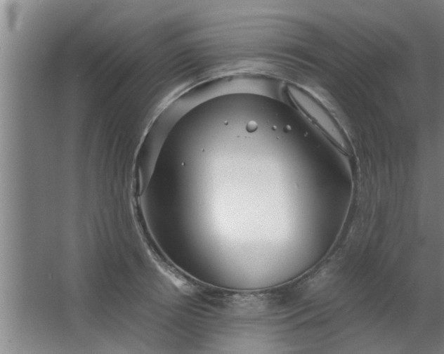 X0000063460850200602031832