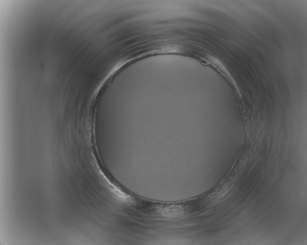 X0000063460851200602031832