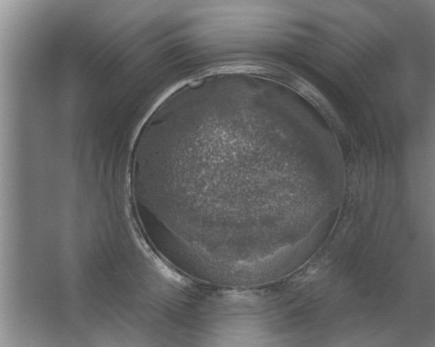 X0000063460852200602031832