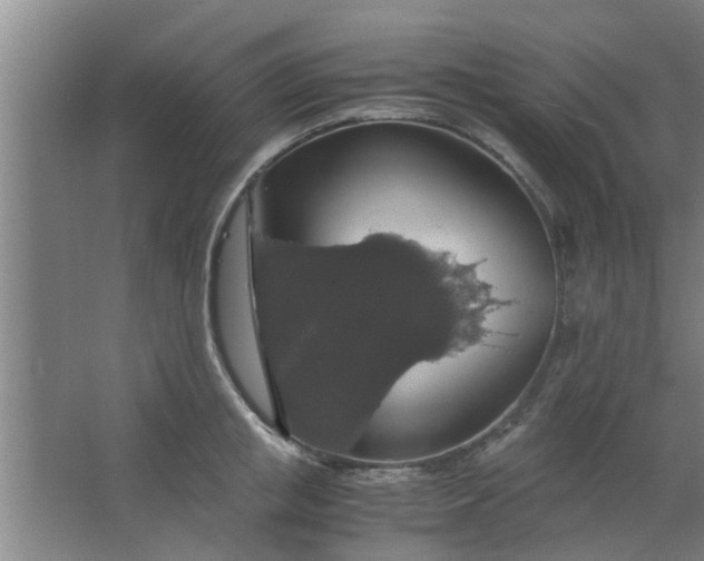 X0000063460853200602031832