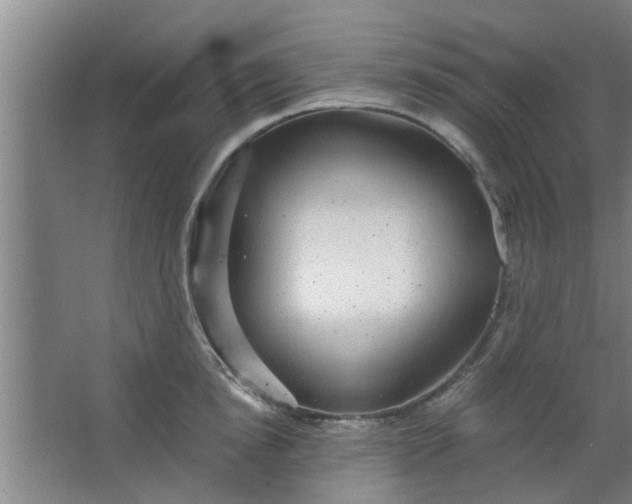 X0000063460854200602031832