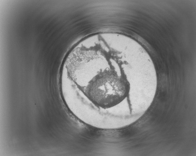 X0000063460856200602031832