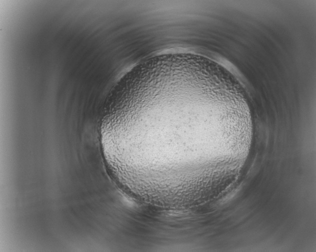 X0000063460857200602031832