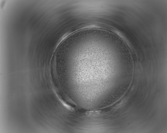 X0000063460858200602031832